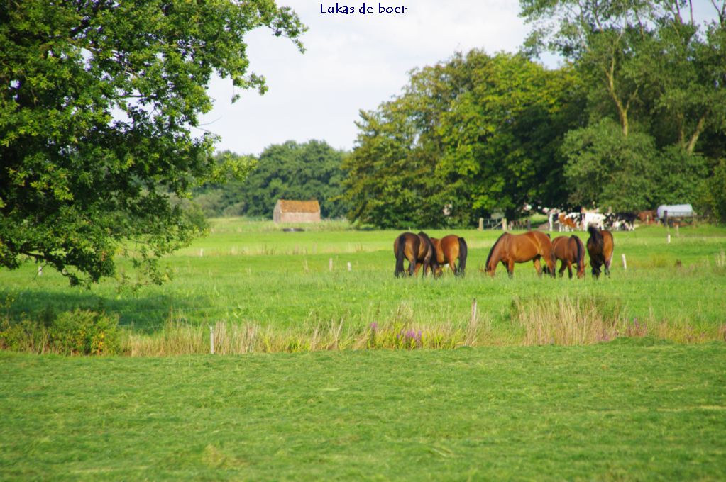 tour (29).jpg - Gezicht ten noorden achter de Ring langs